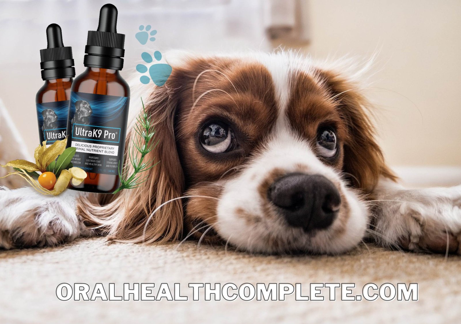 ultrak9 pro reviews dog supplement scam compressed