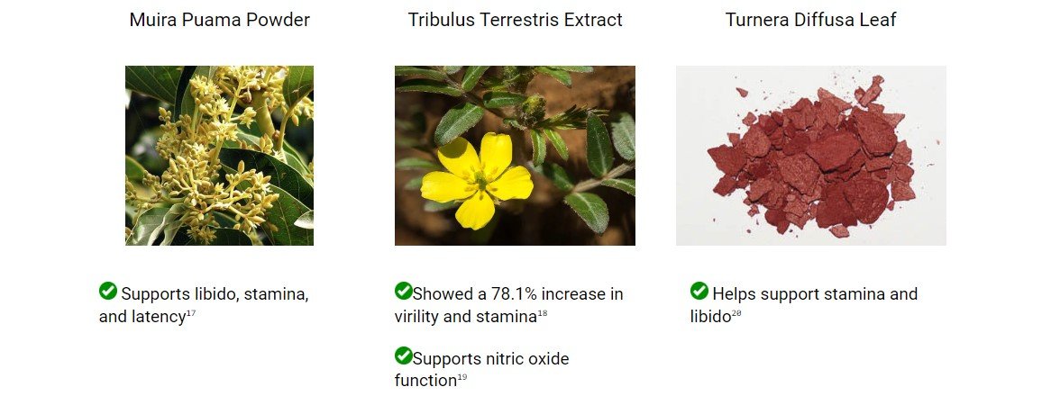 endo pump ingredients
