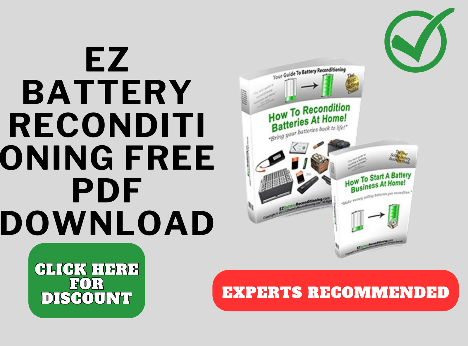 ez battery reconditioning free pdf download