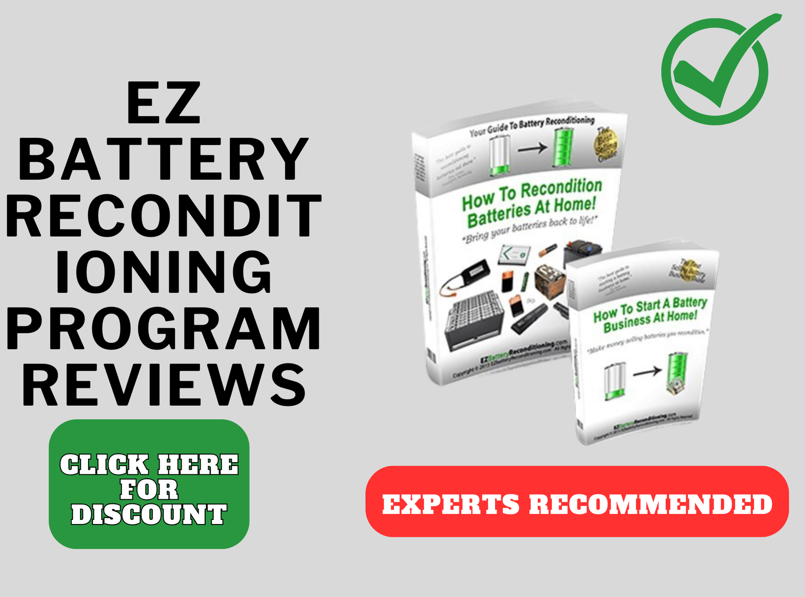 ez battery reconditioning program reviews