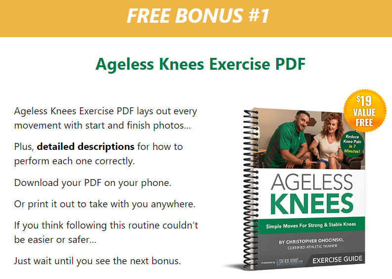 ageless knees program pdf