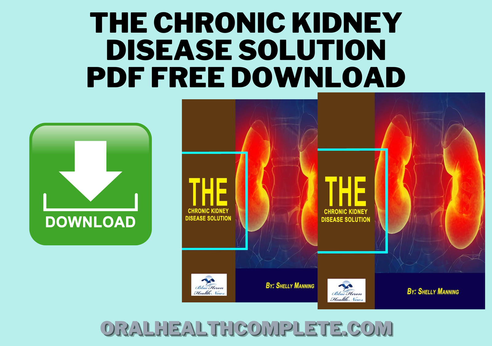 the chronic kidney disease solution pdf free download