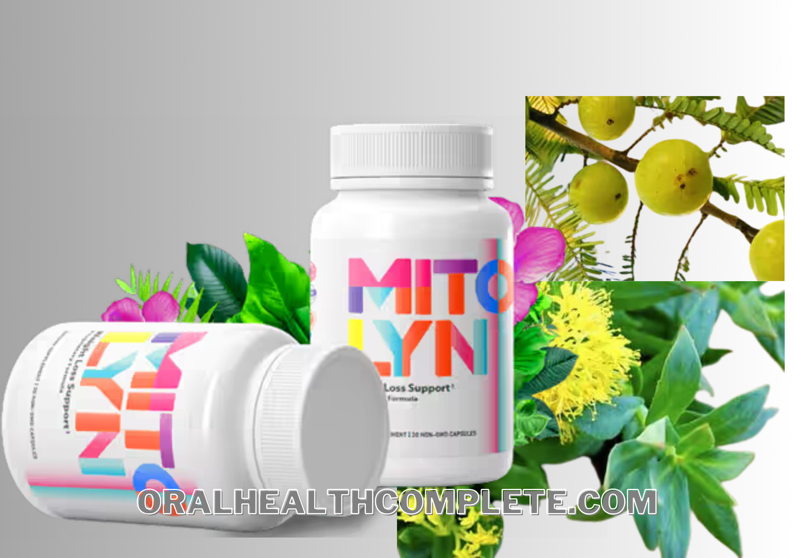 Mitolyn Ingredients List, Side Effects + Dosage (Be Careful)