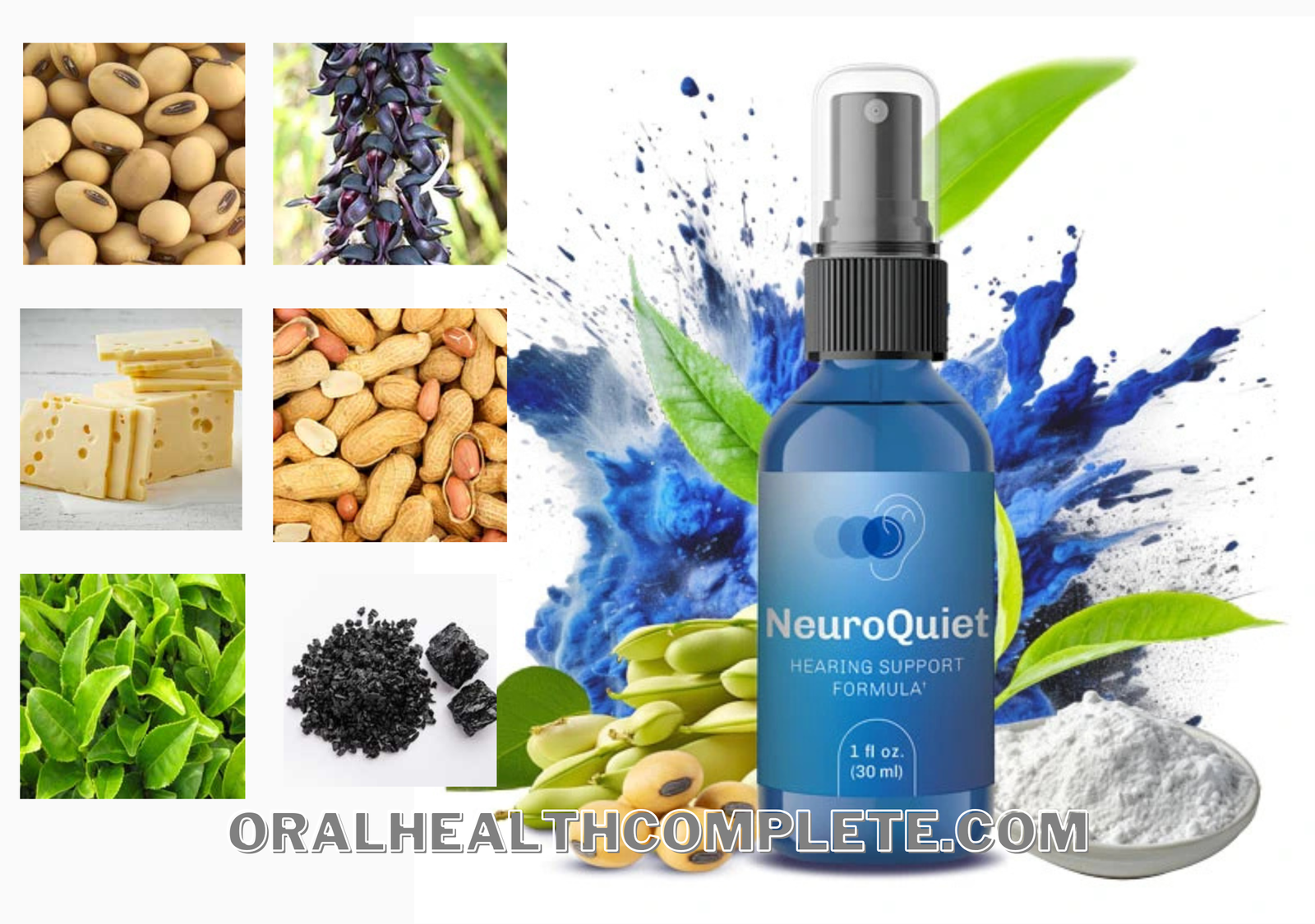 Neuroquiet Ingredients