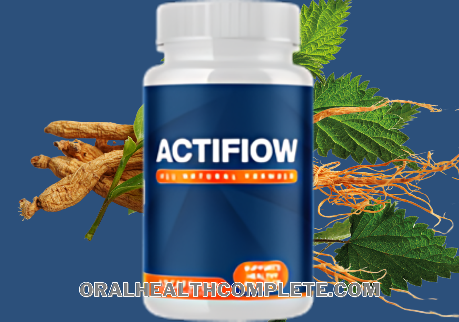 ActiFlow supplement ingredients