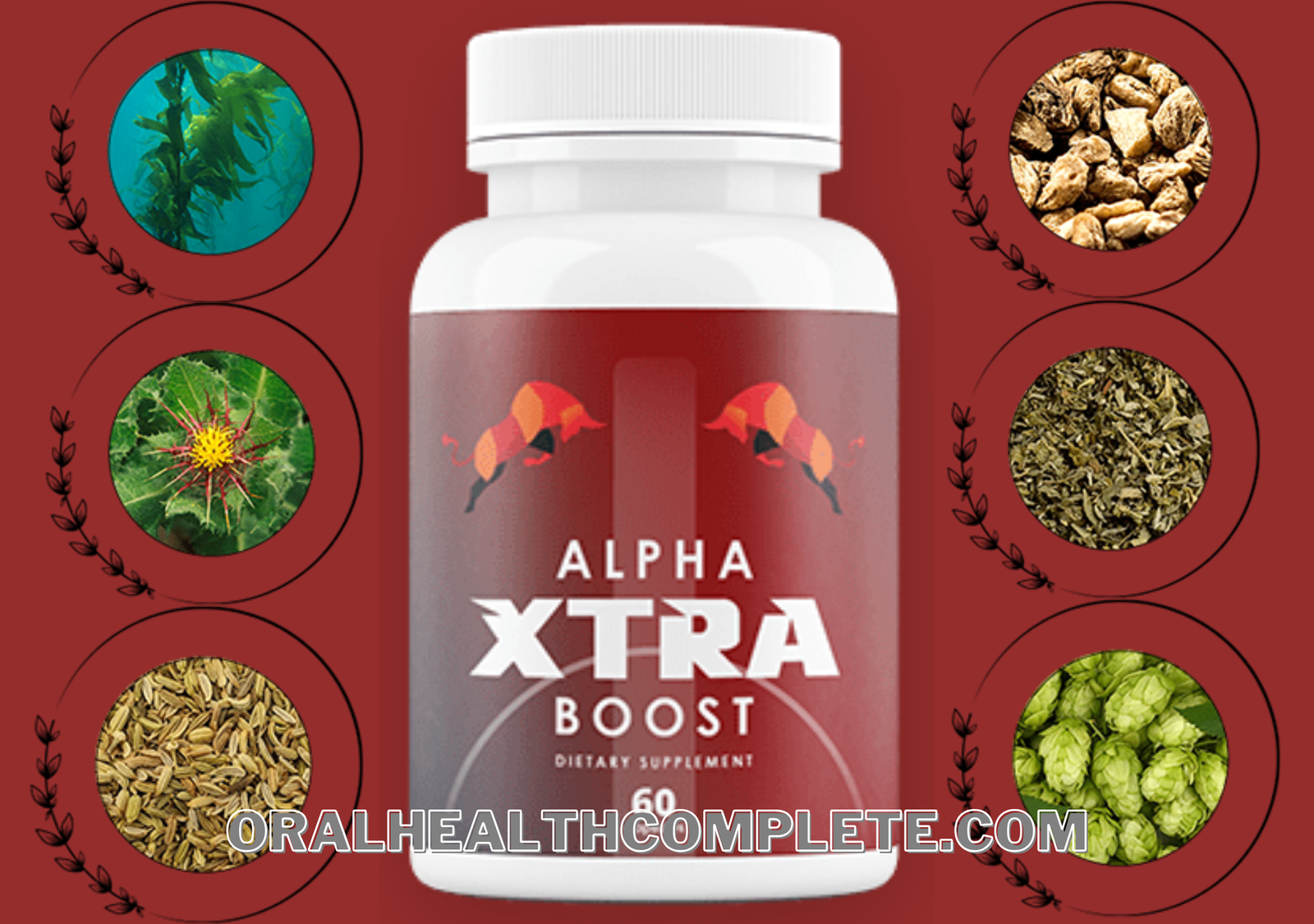 AlphaXtra Boost supplement ingredients