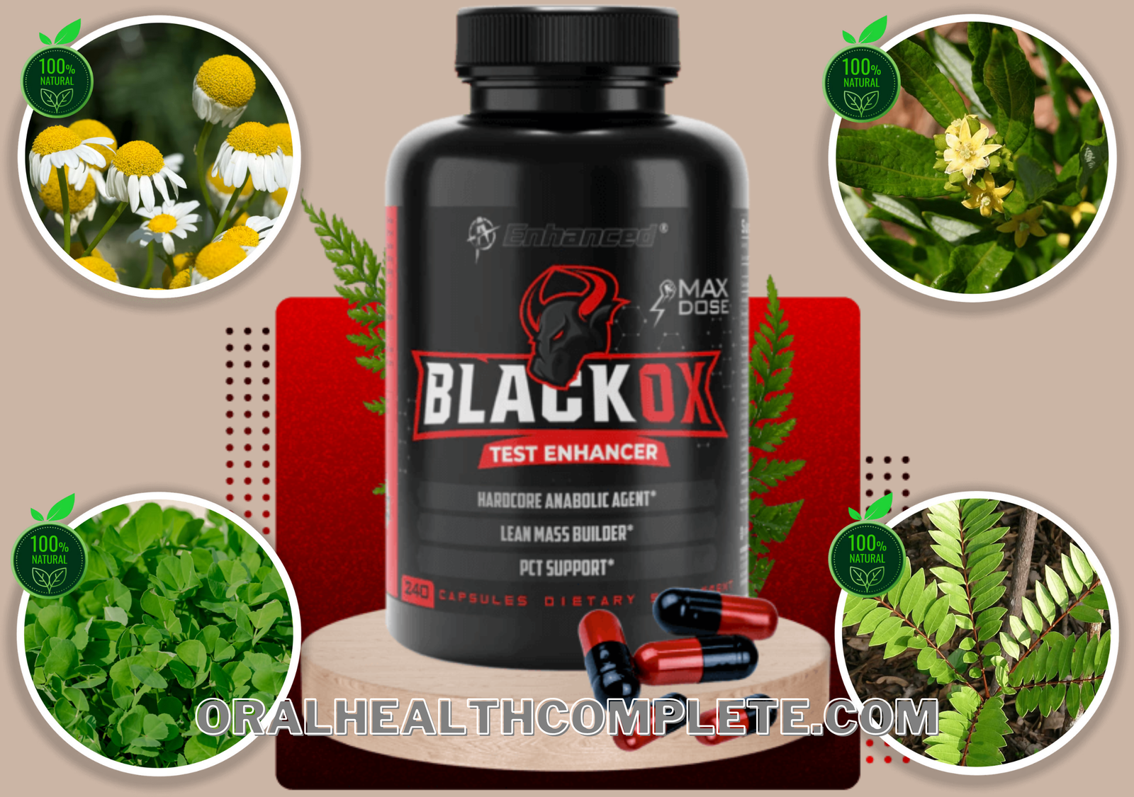 Black Ox Testosterone Booster Ingredients