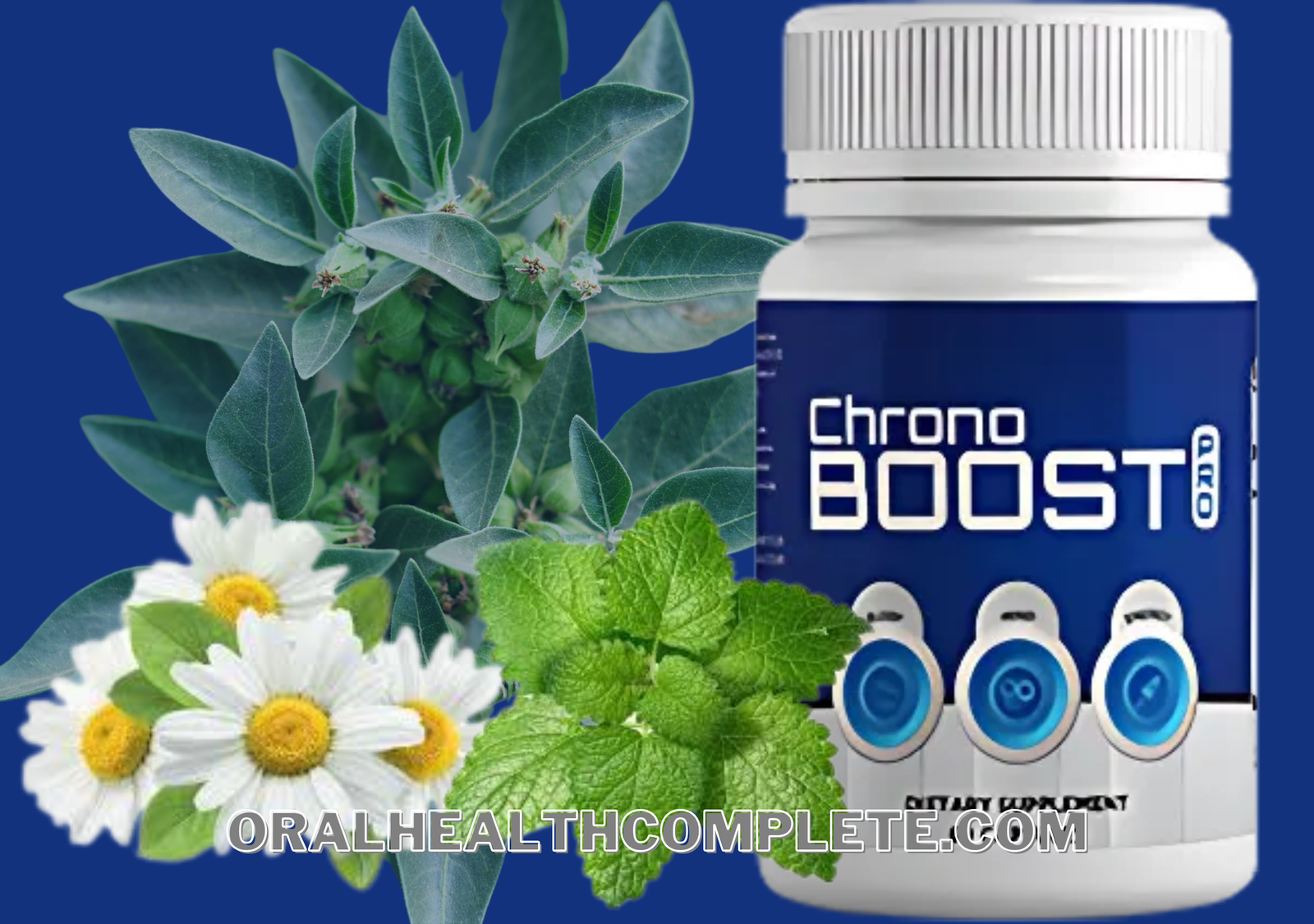 Chronoboost Pro ingredients