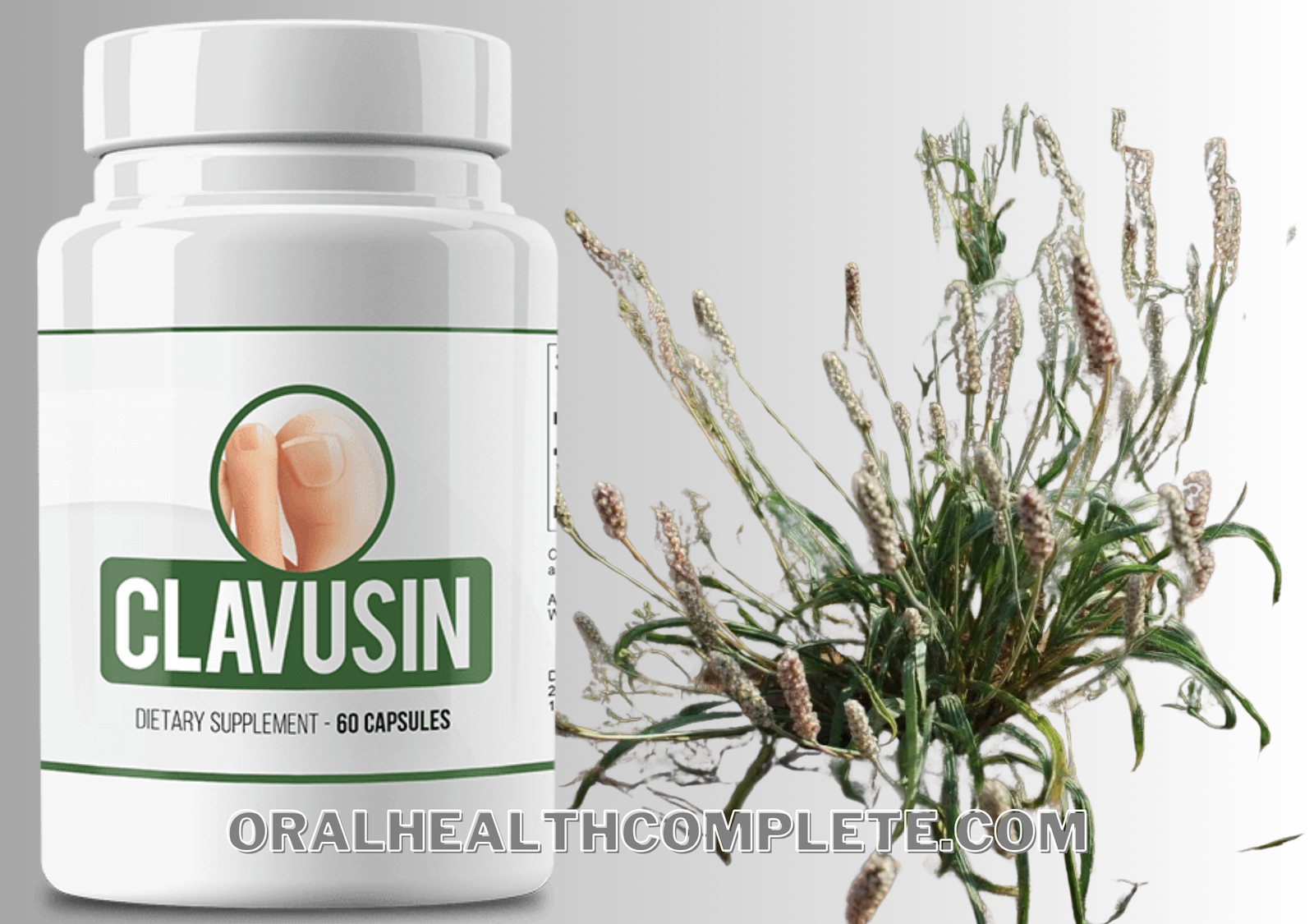 Clavusin ingredients