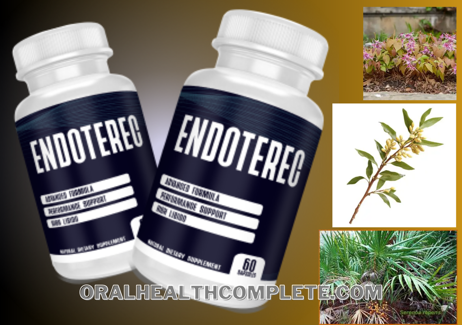 Endoterec supplement ingredients