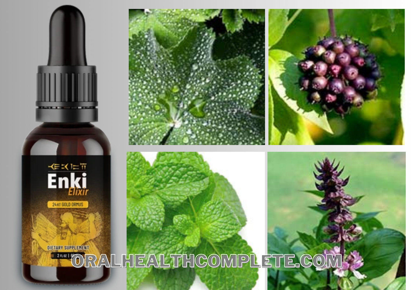 Enki Elixir supplement ingredients