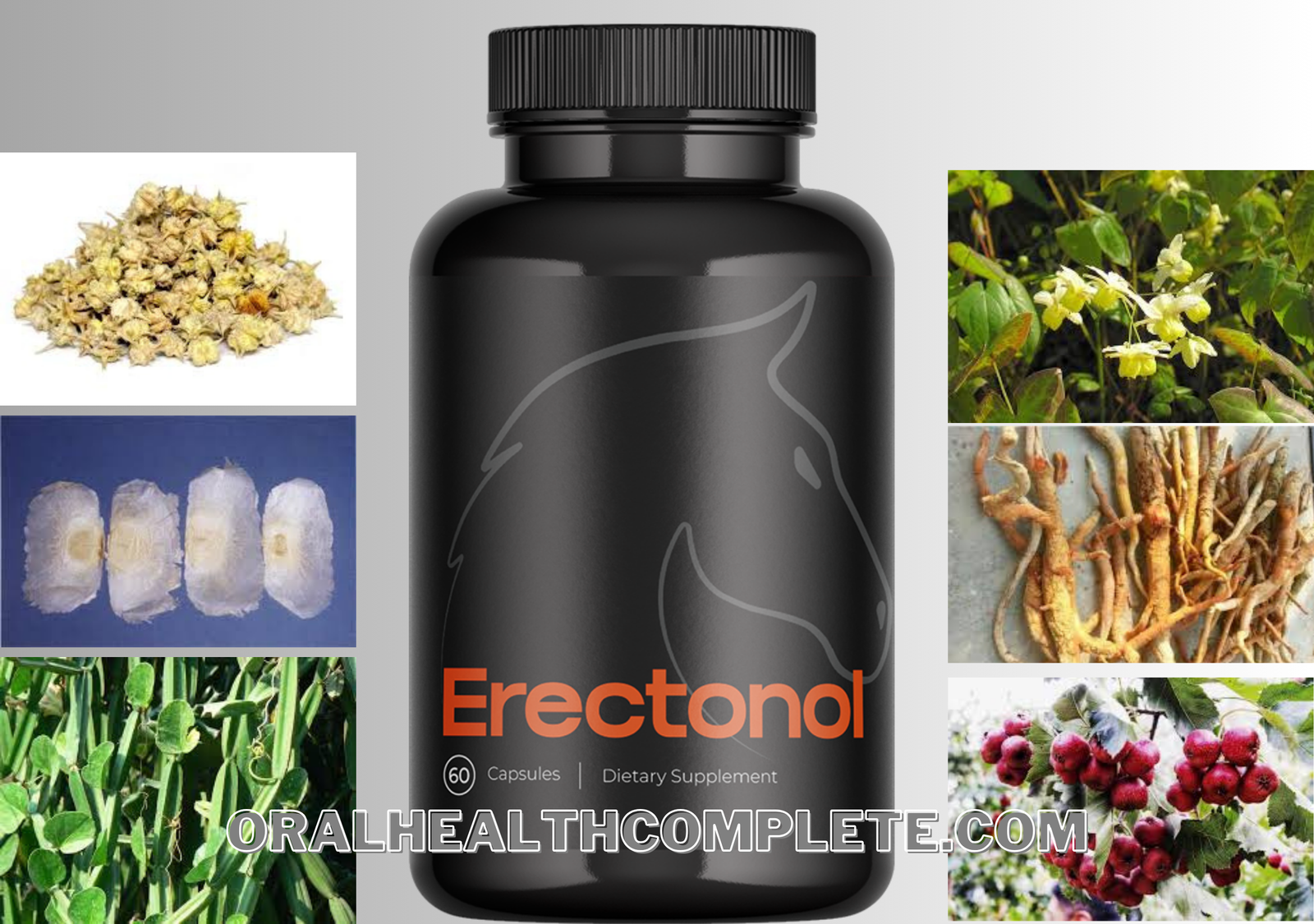 Erectonol supplement ingredients