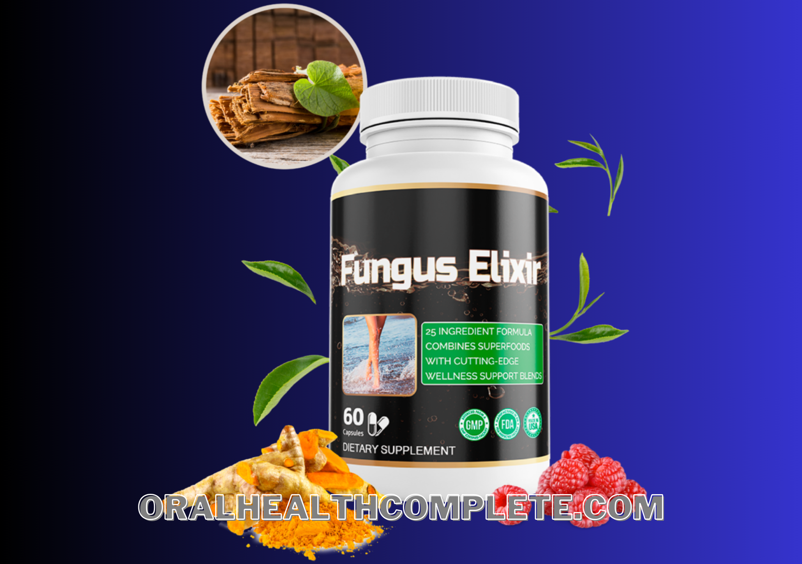 Fungus Elixir supplement ingredients