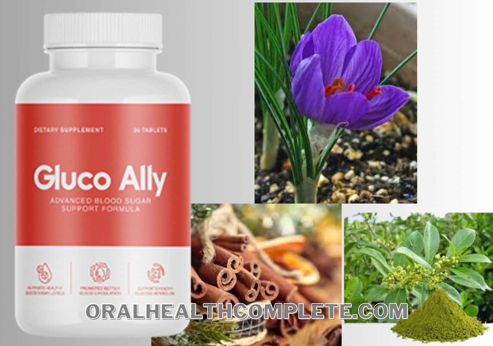 Gluco Ally ingredients