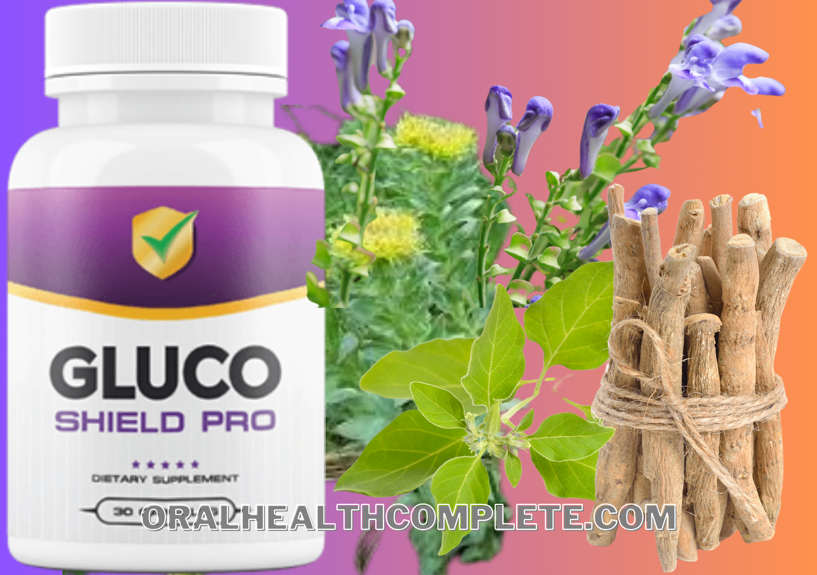 Gluco Shield Pro ingredients