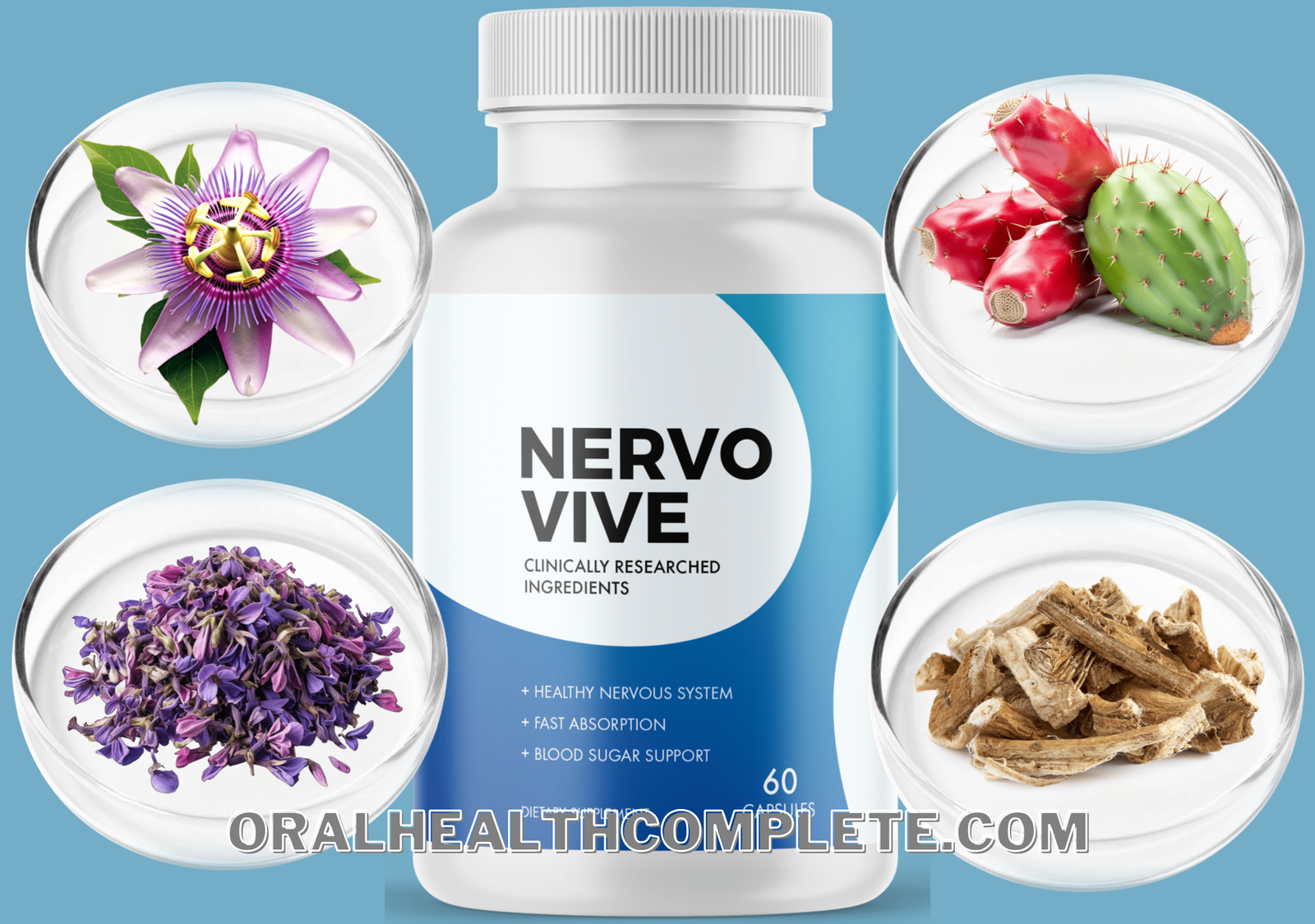 Nervovive supplement ingredients