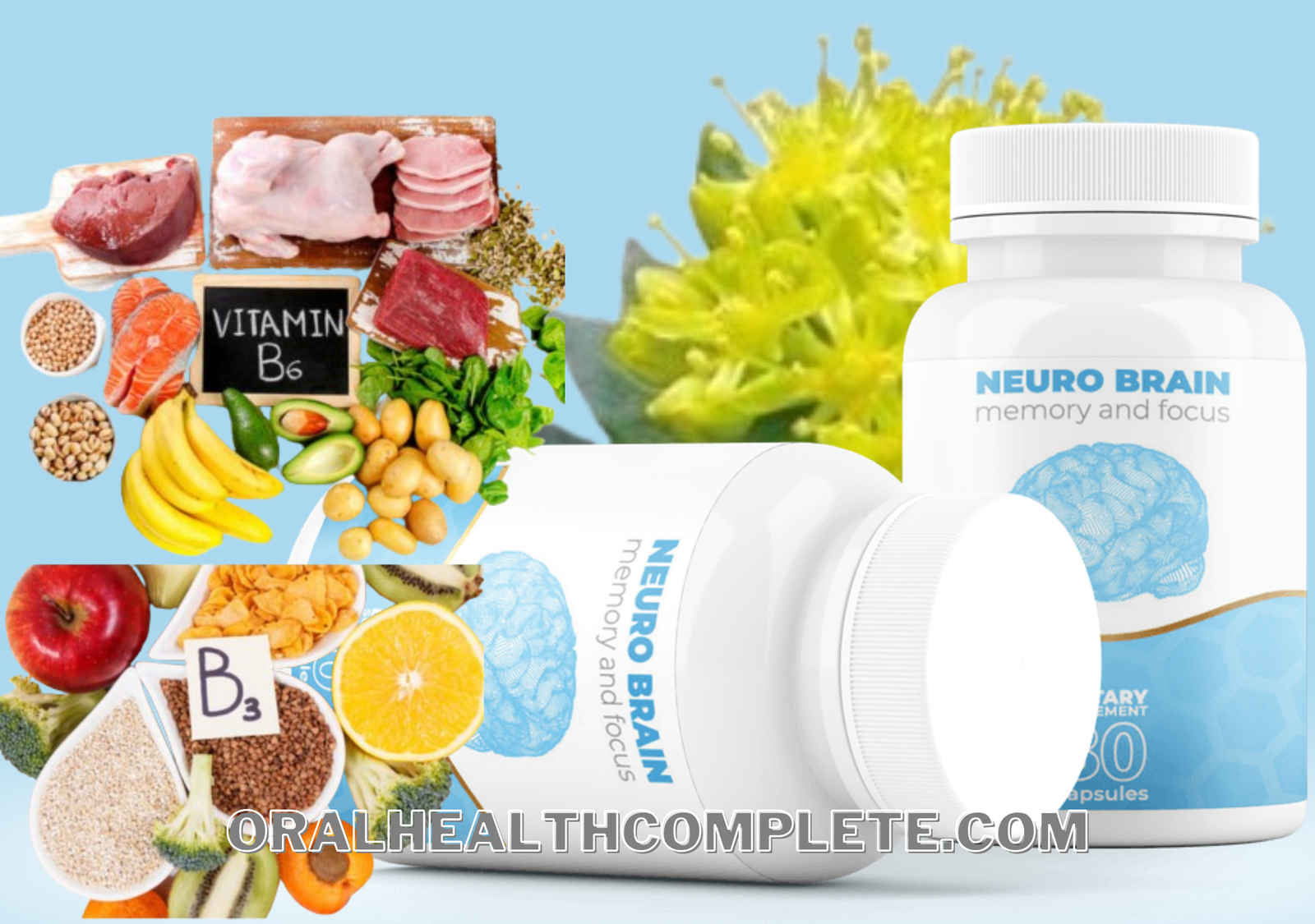 Neuro Brain supplement ingredients