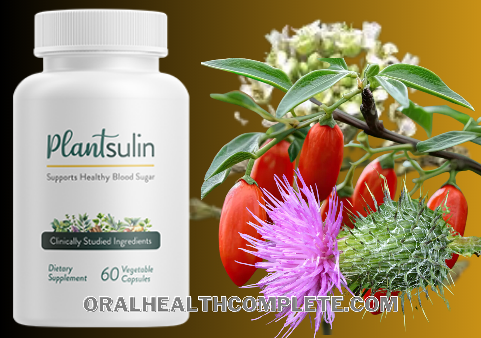 PlantSulin ingredients