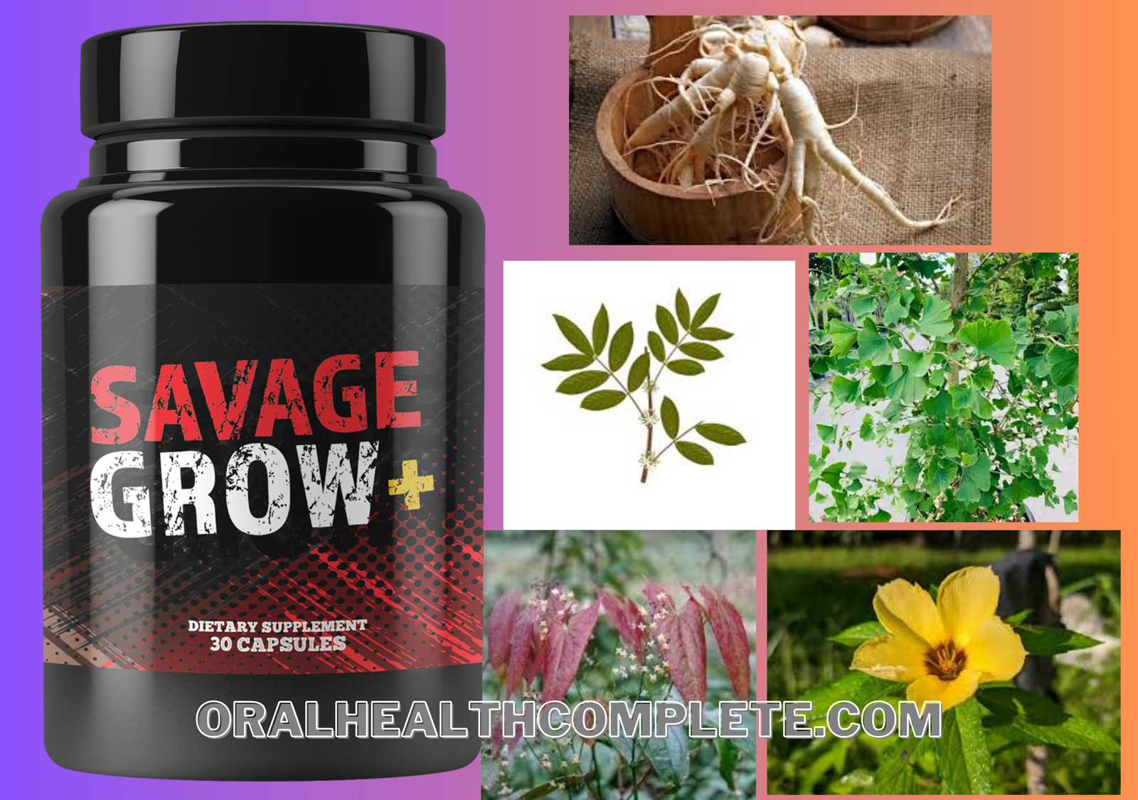 Savage Grow Plus ingredients