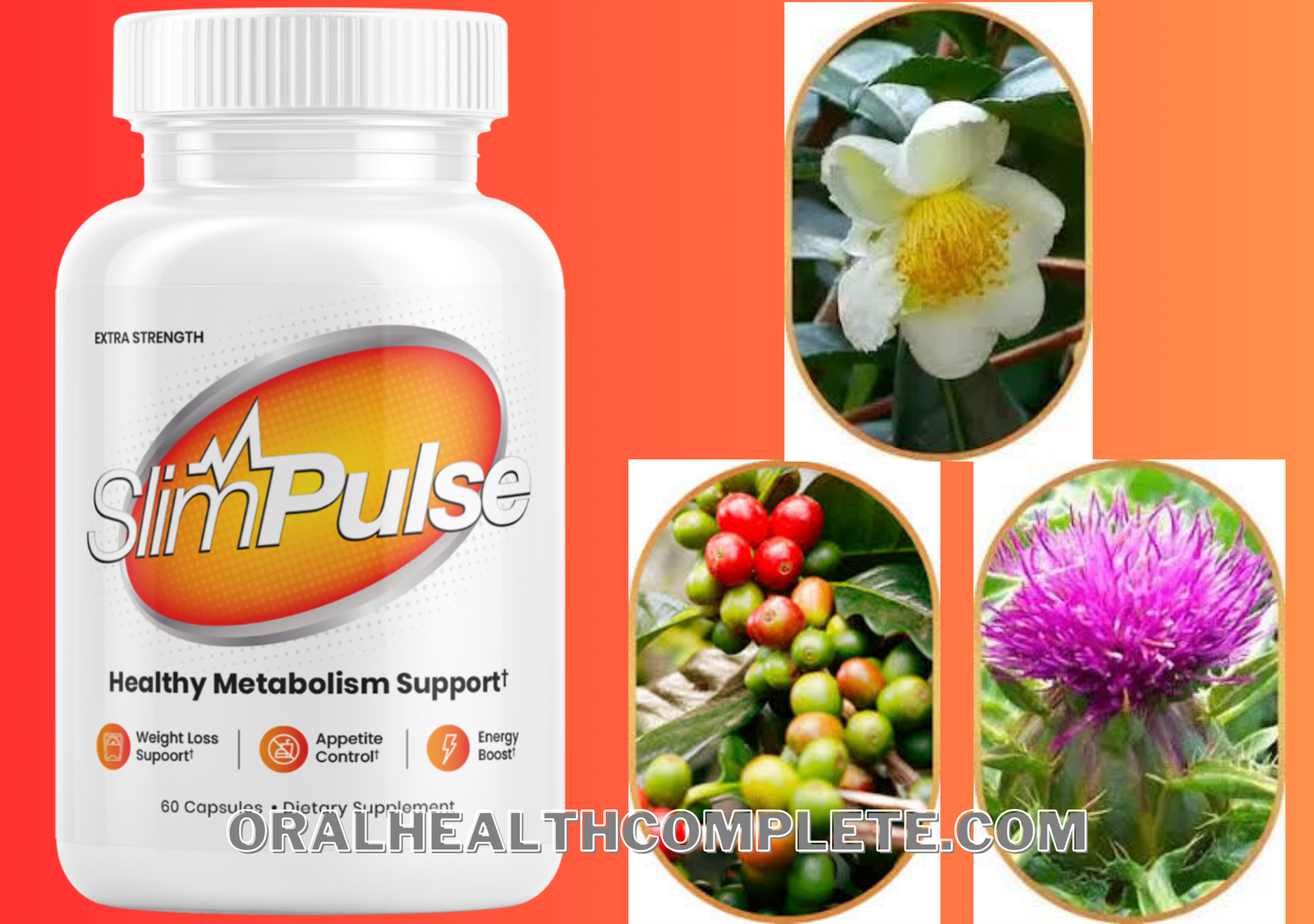 SlimPulse supplement ingredients