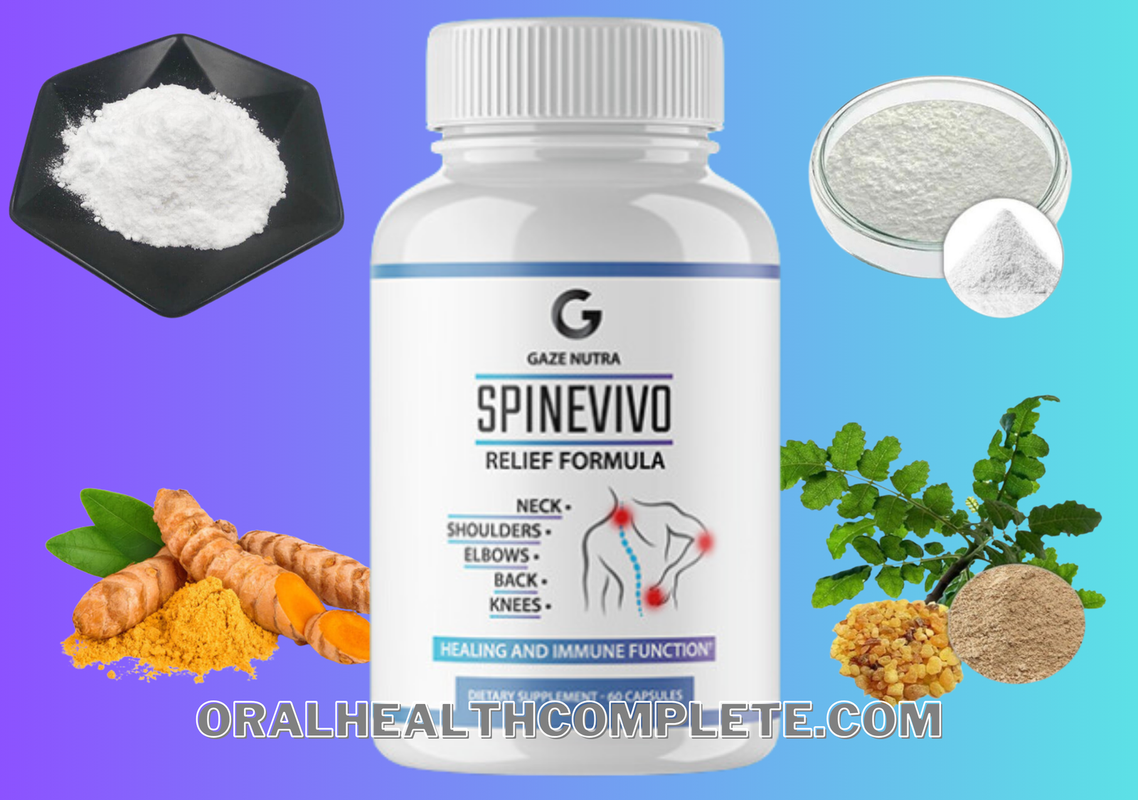 SpineVivo supplement ingredient