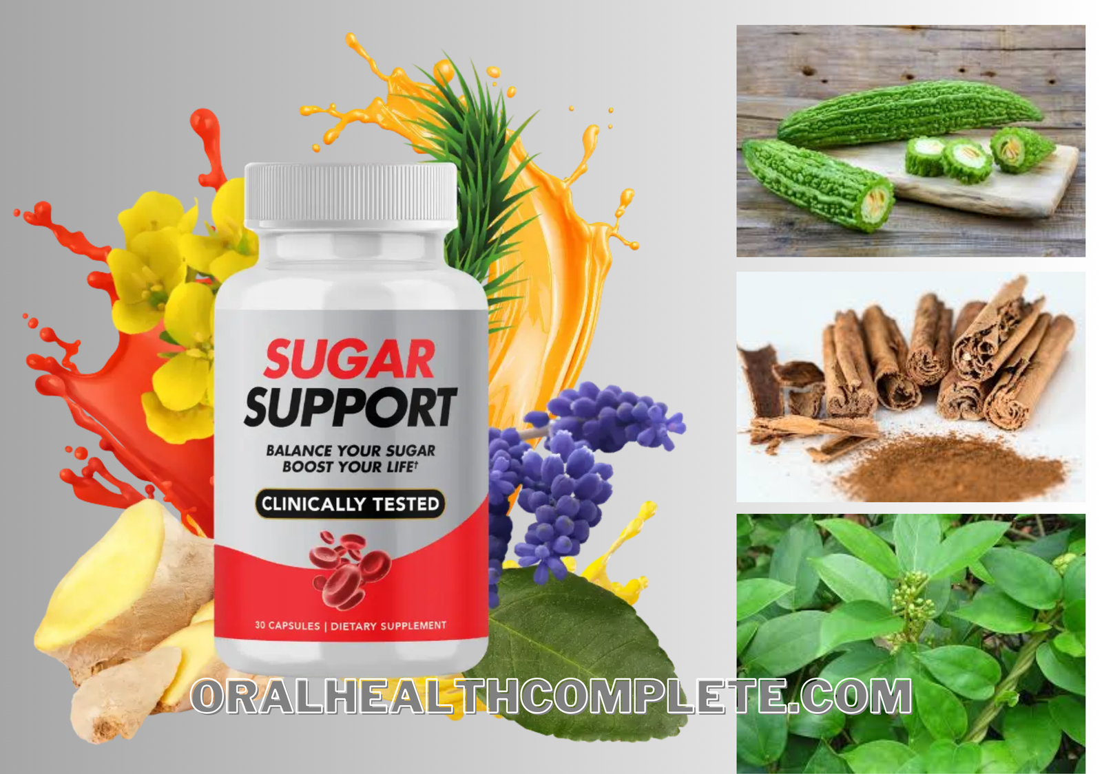 Sugar Support supplement ingredients