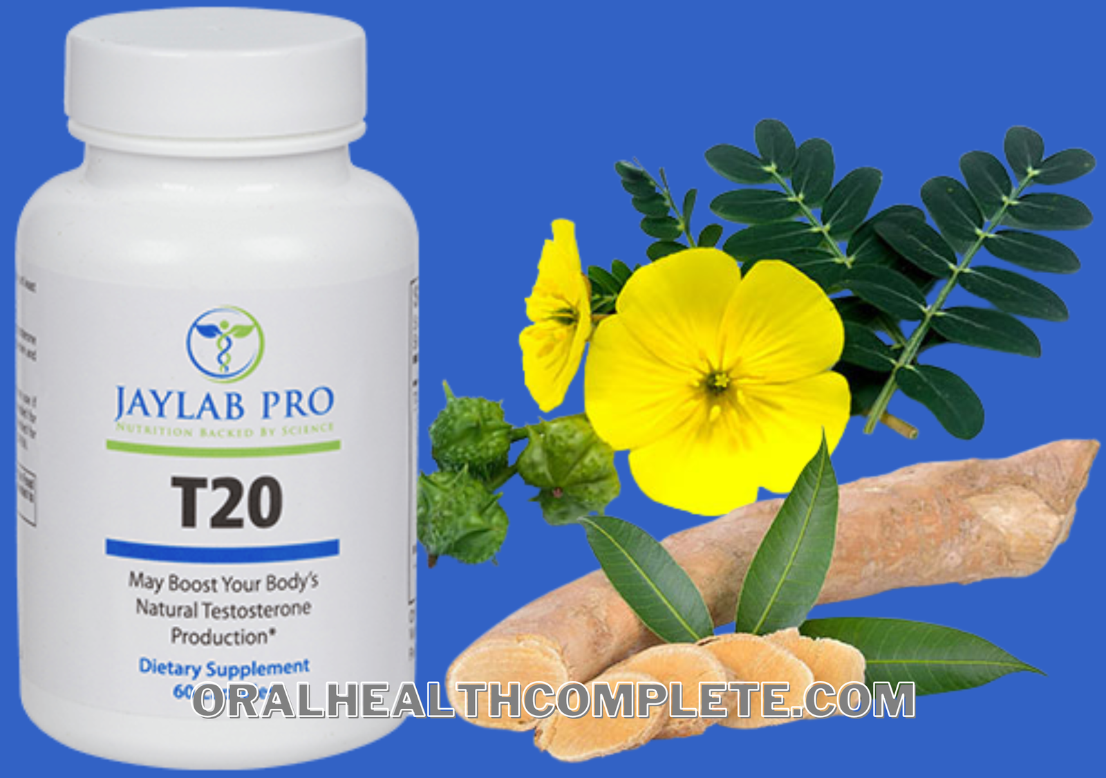 T20 testosterone supplement ingredients