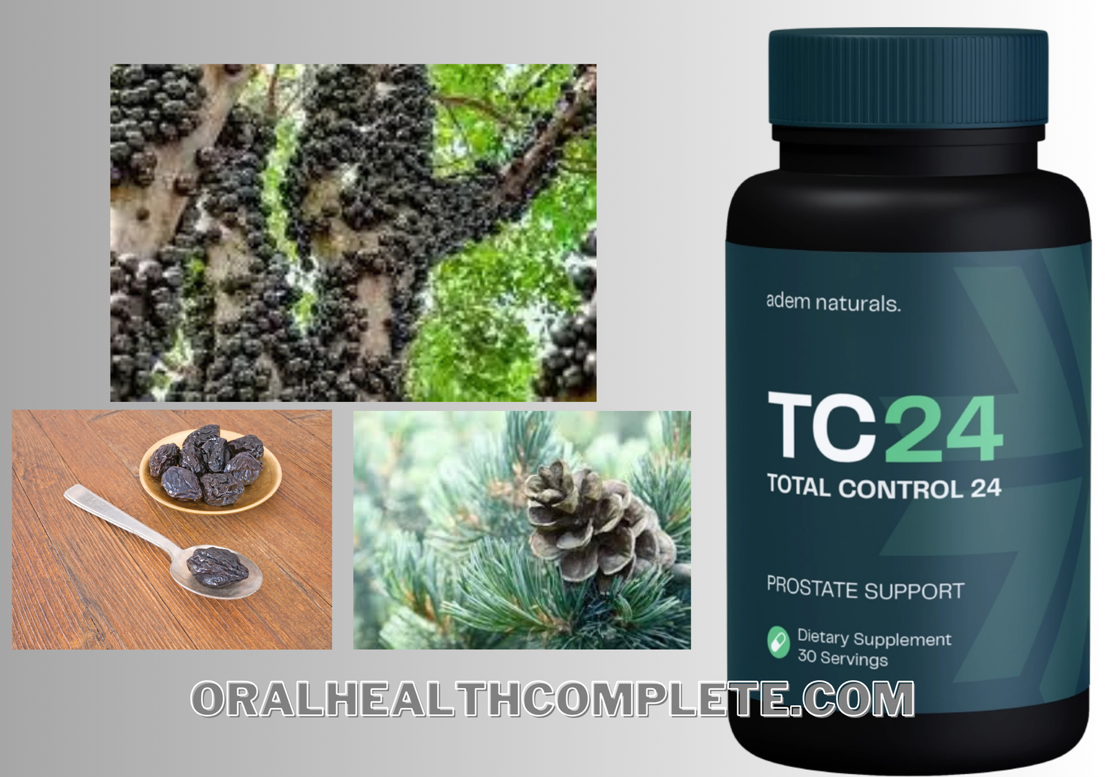 Total Control 24 Ingredients