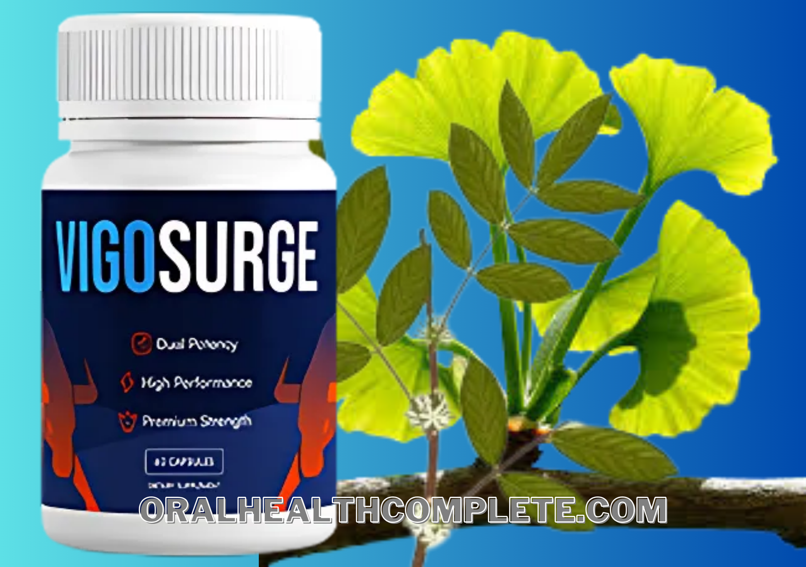 VigoSurge ingredients