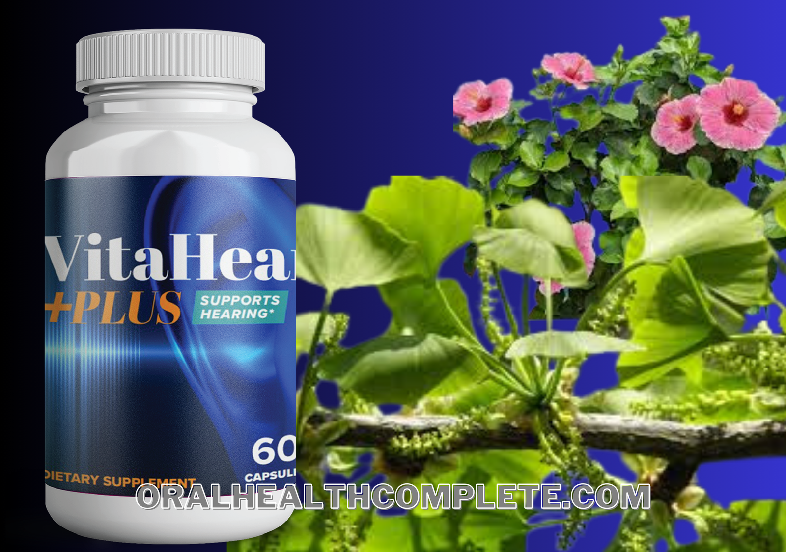 VitaHear Plus ingredients