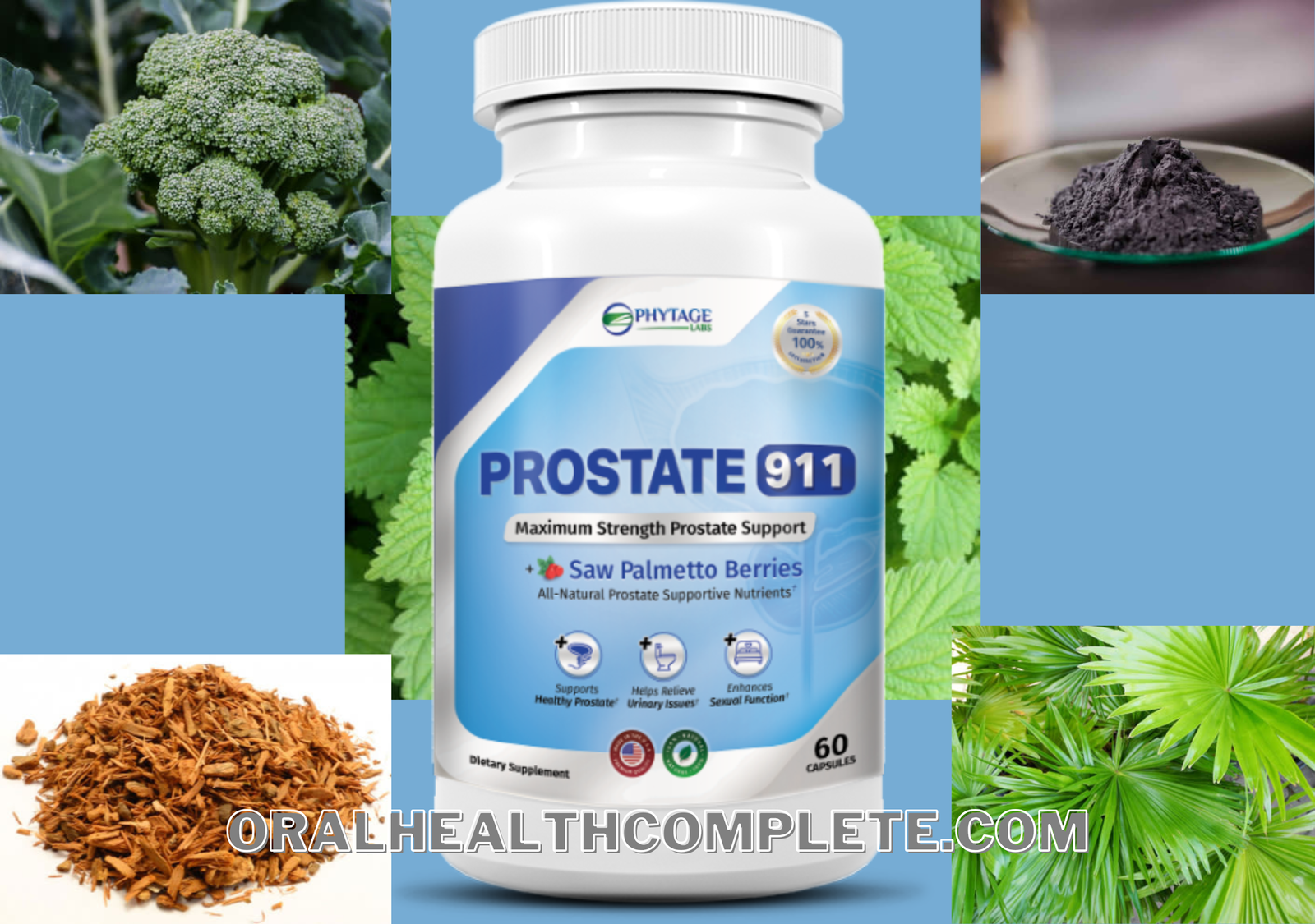 phytage labs prostate 911 supplement ingredients