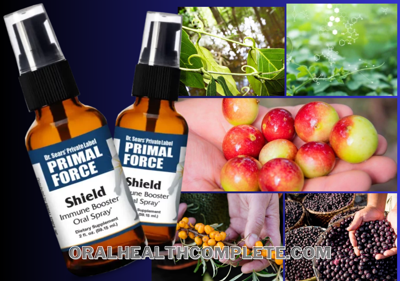 silver shield immune support ingredients