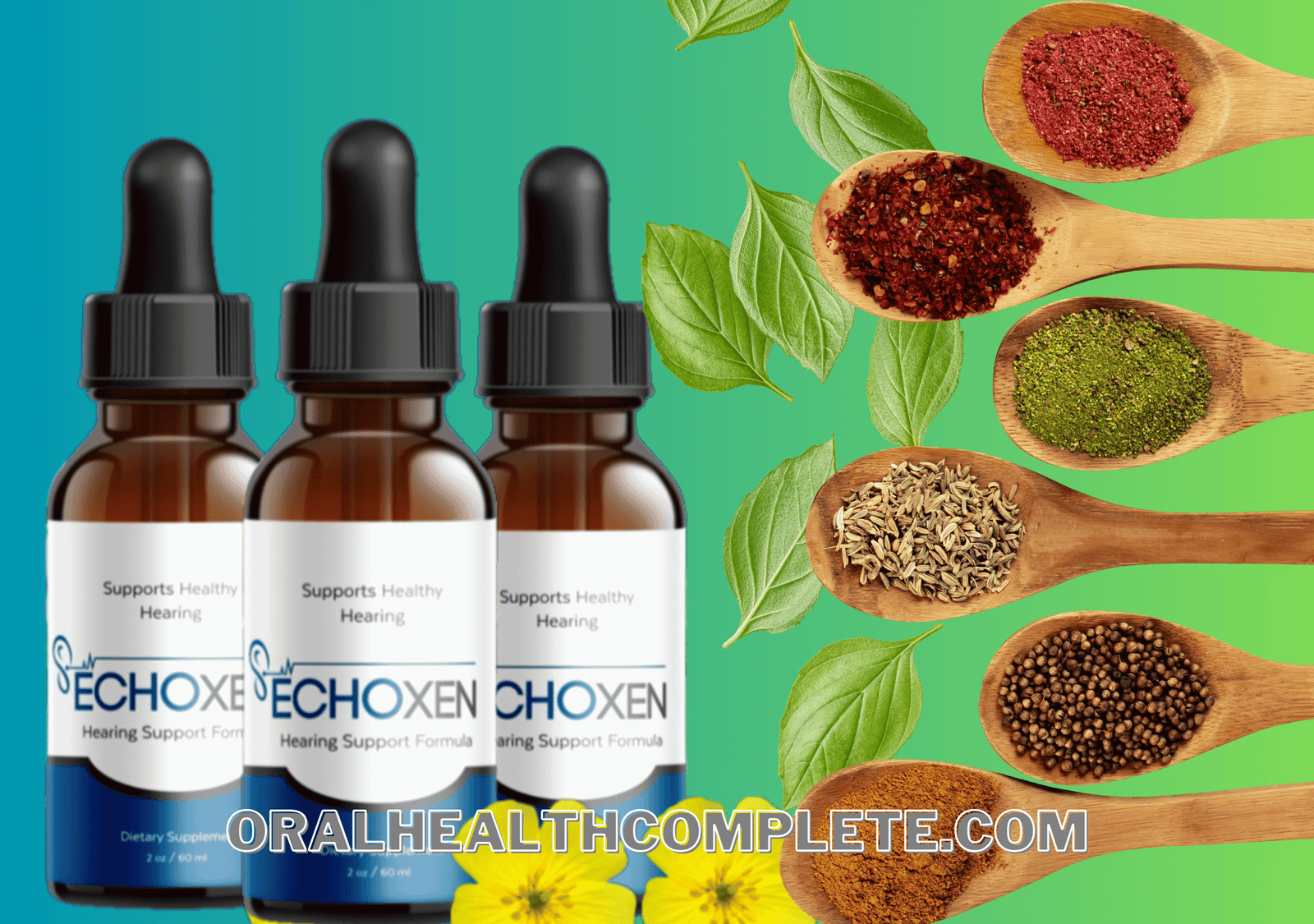 EchoXen ingredients