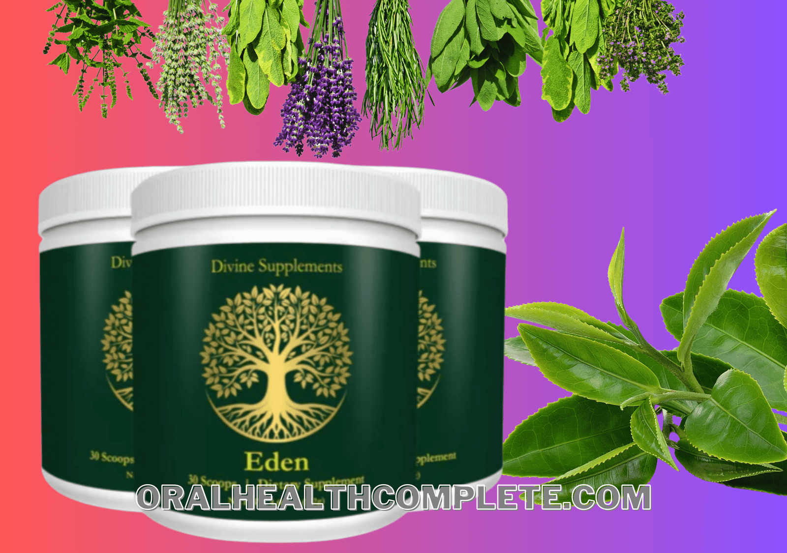 Eden Longevity Supplement ingredients