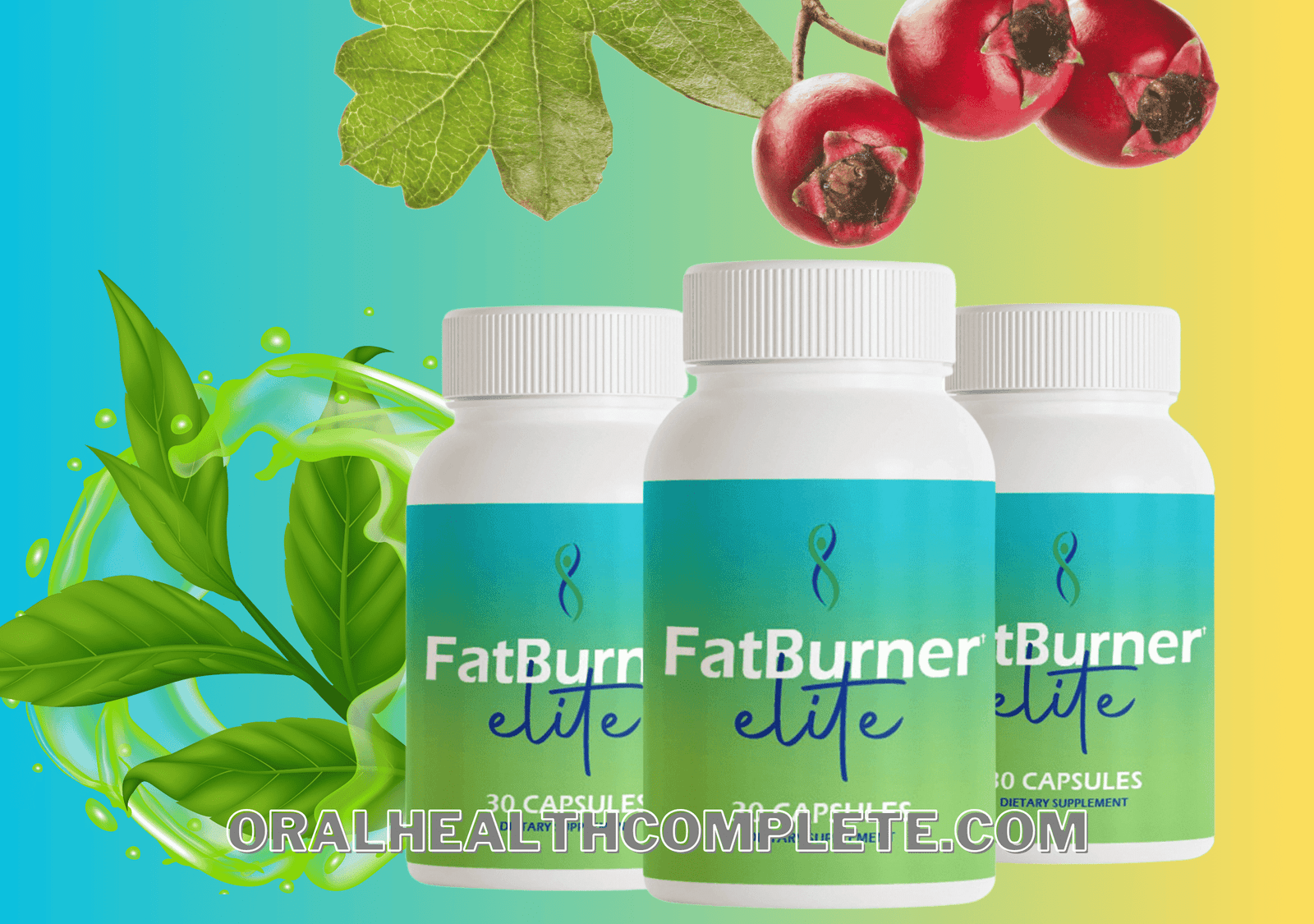 FatBurner Elite ingredients