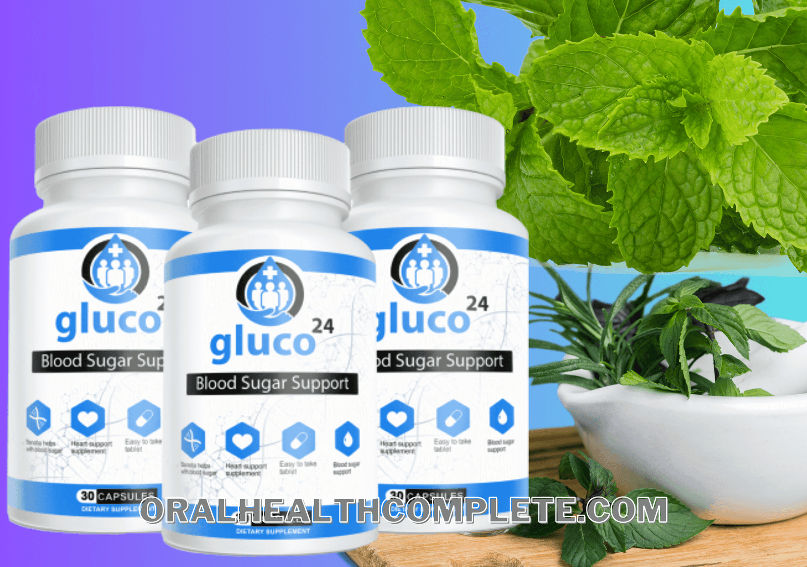 Gluco 24 ingredients