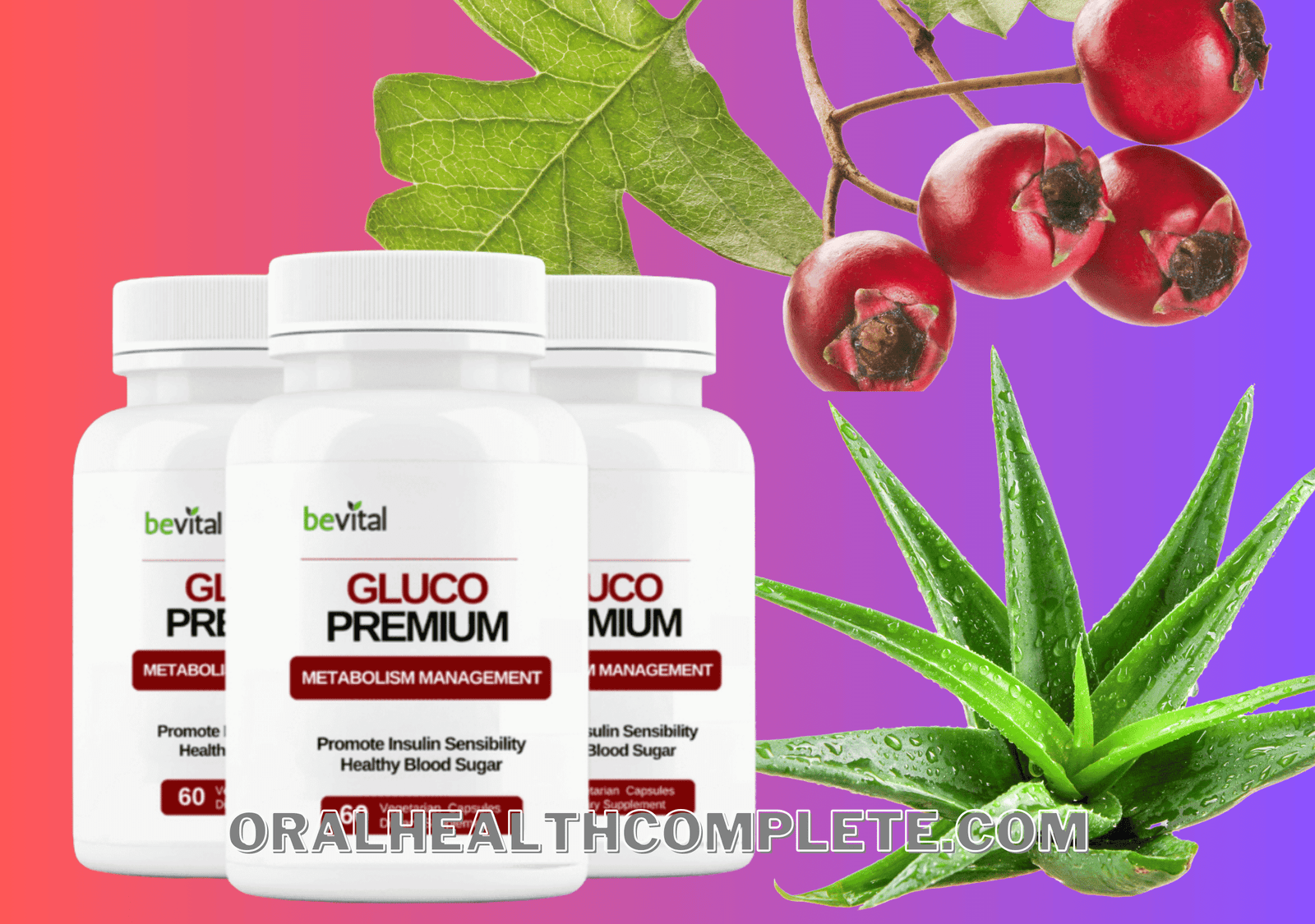 Gluco Premium ingredients