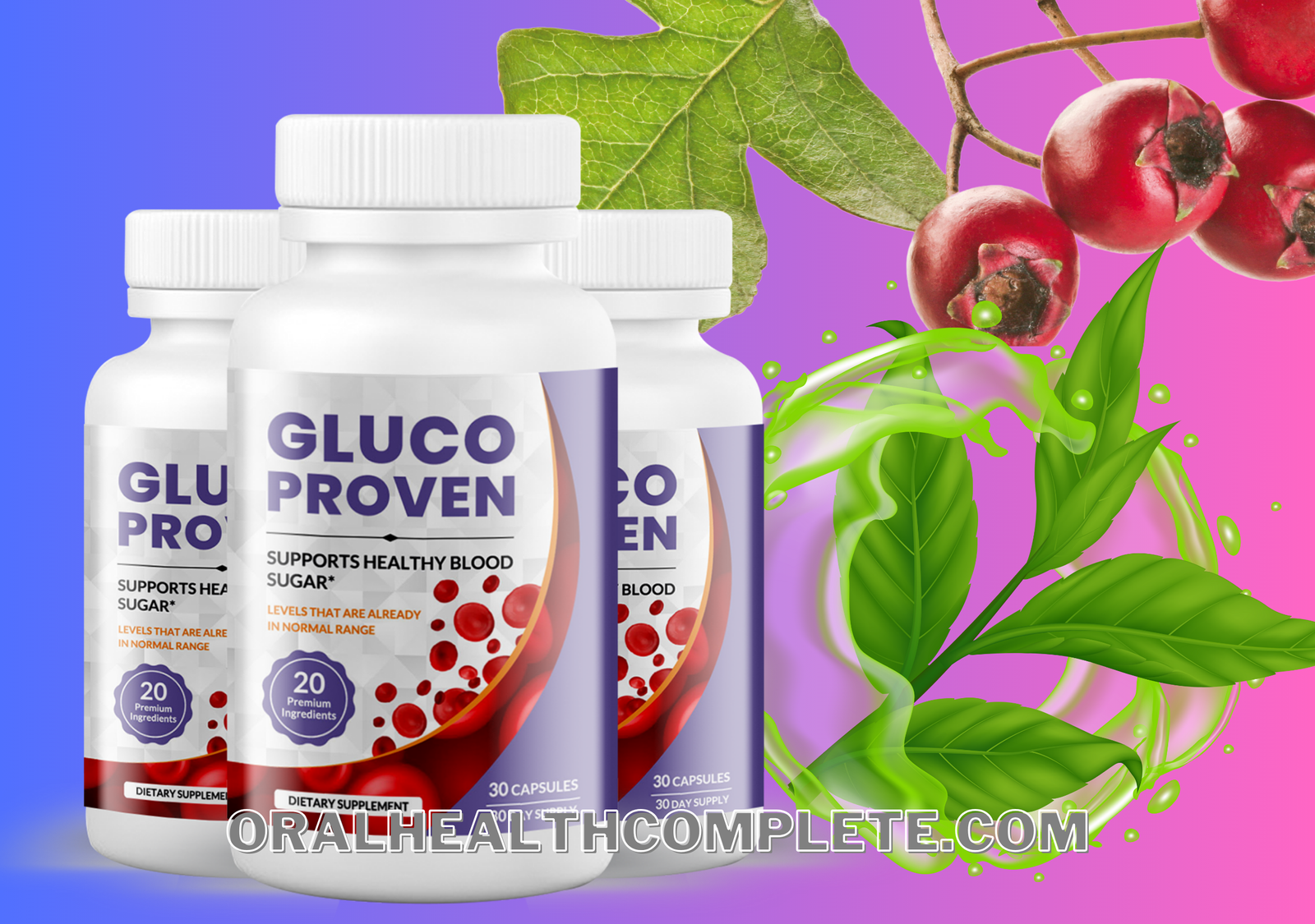 Gluco Proven ingredients