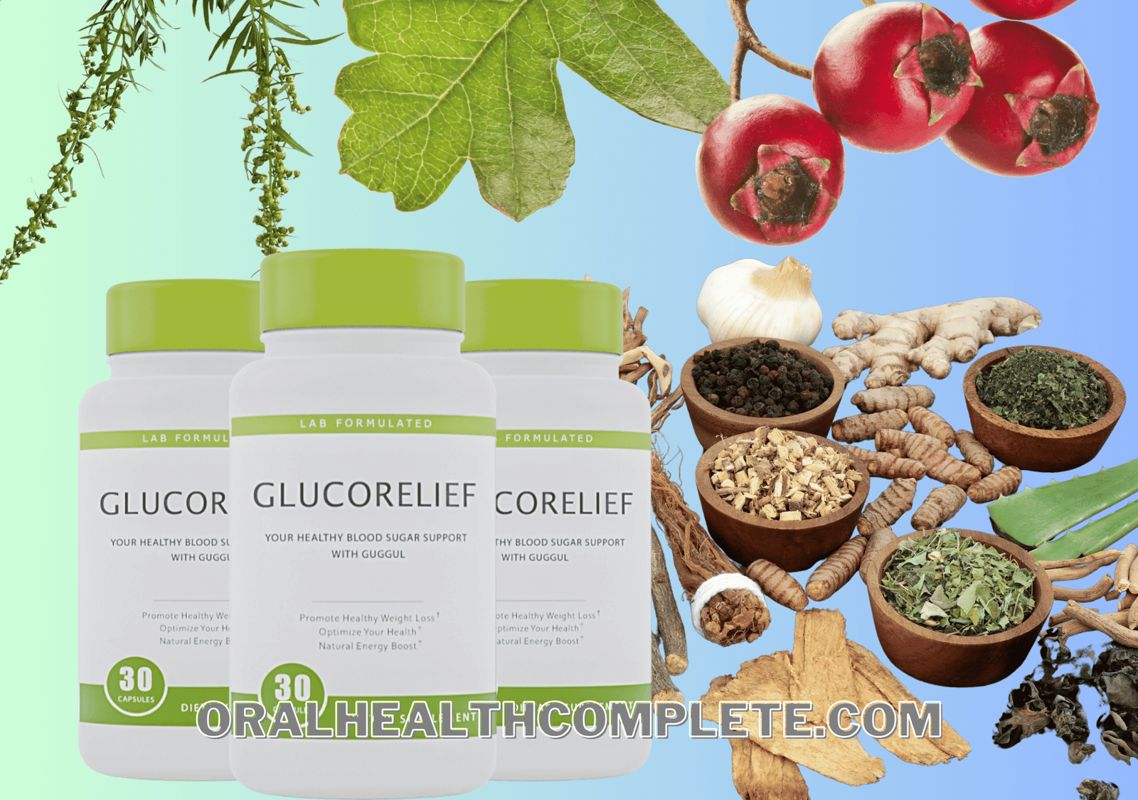 GlucoRelief ingredients
