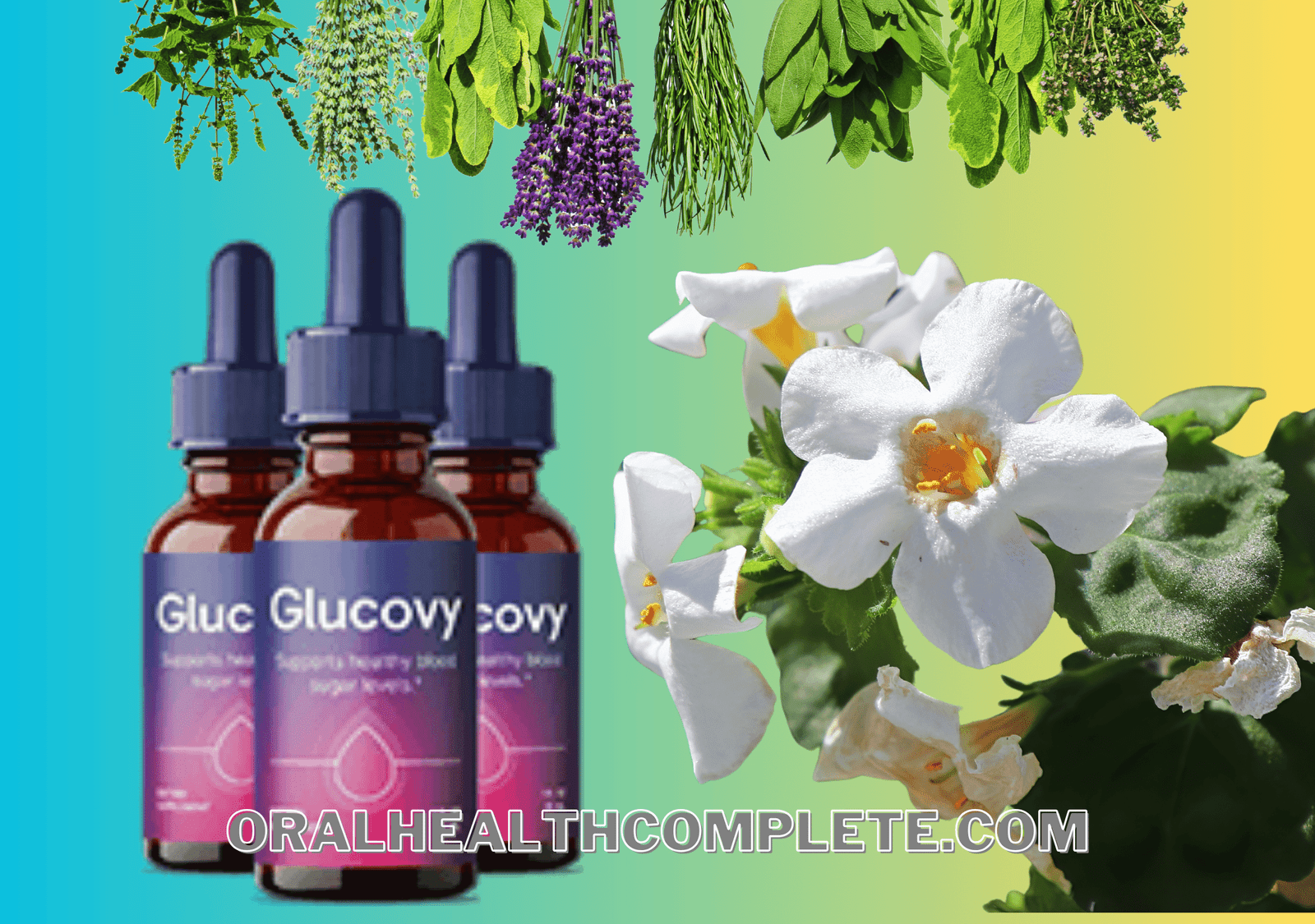 Glucovy ingredients
