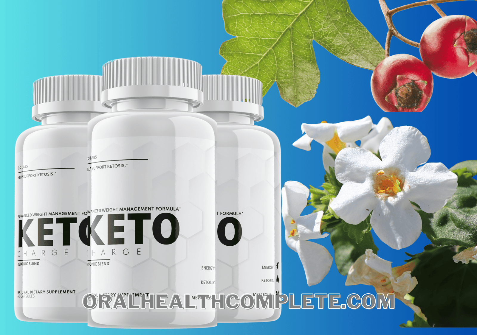 KetoCharge ingredients