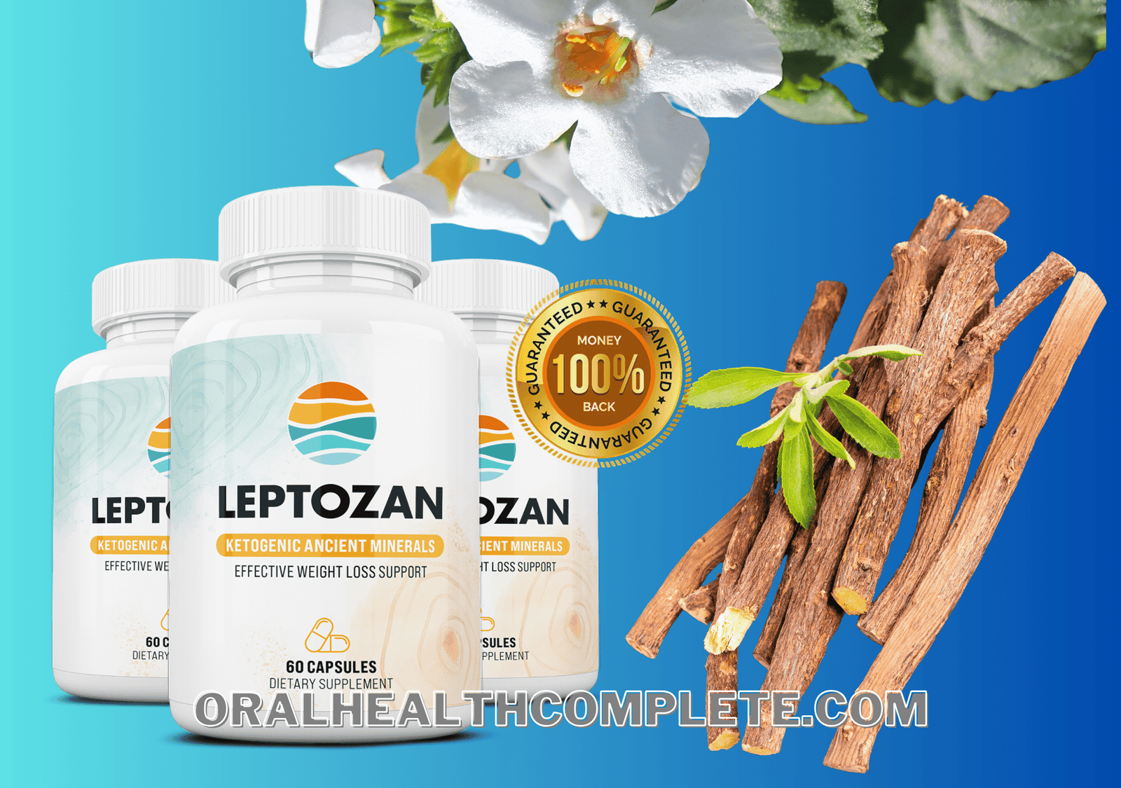 Leptozan ingredients