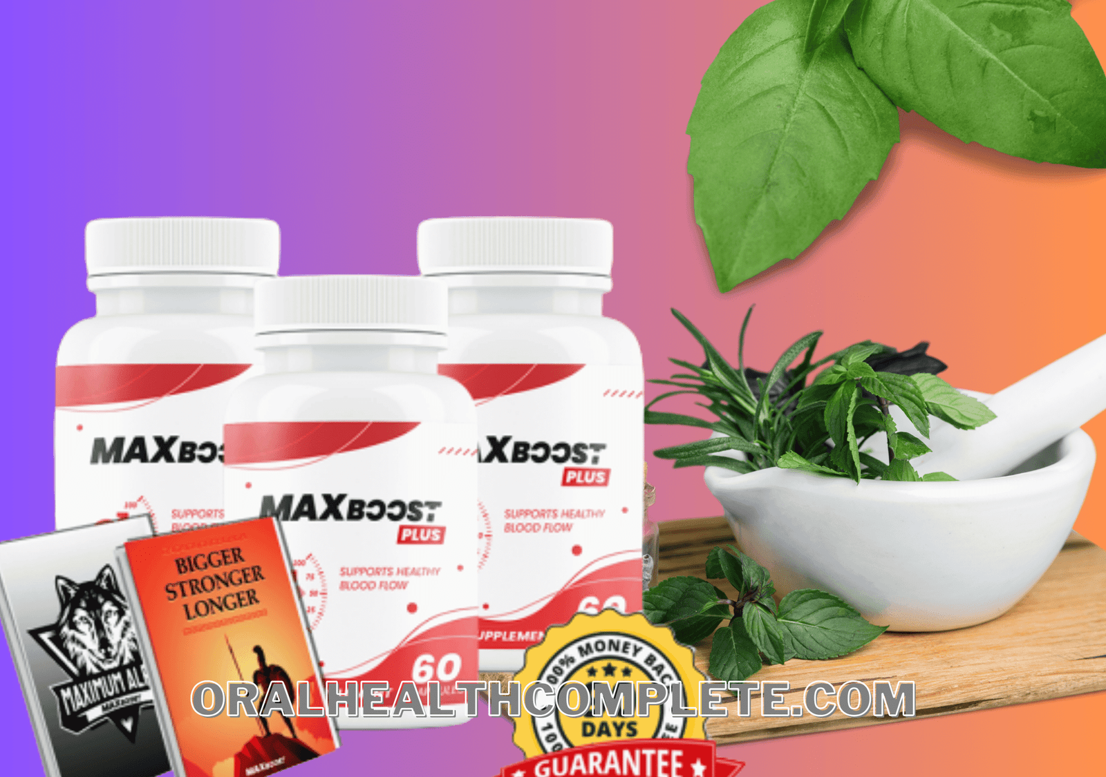 MaxBoost Plus ingredients