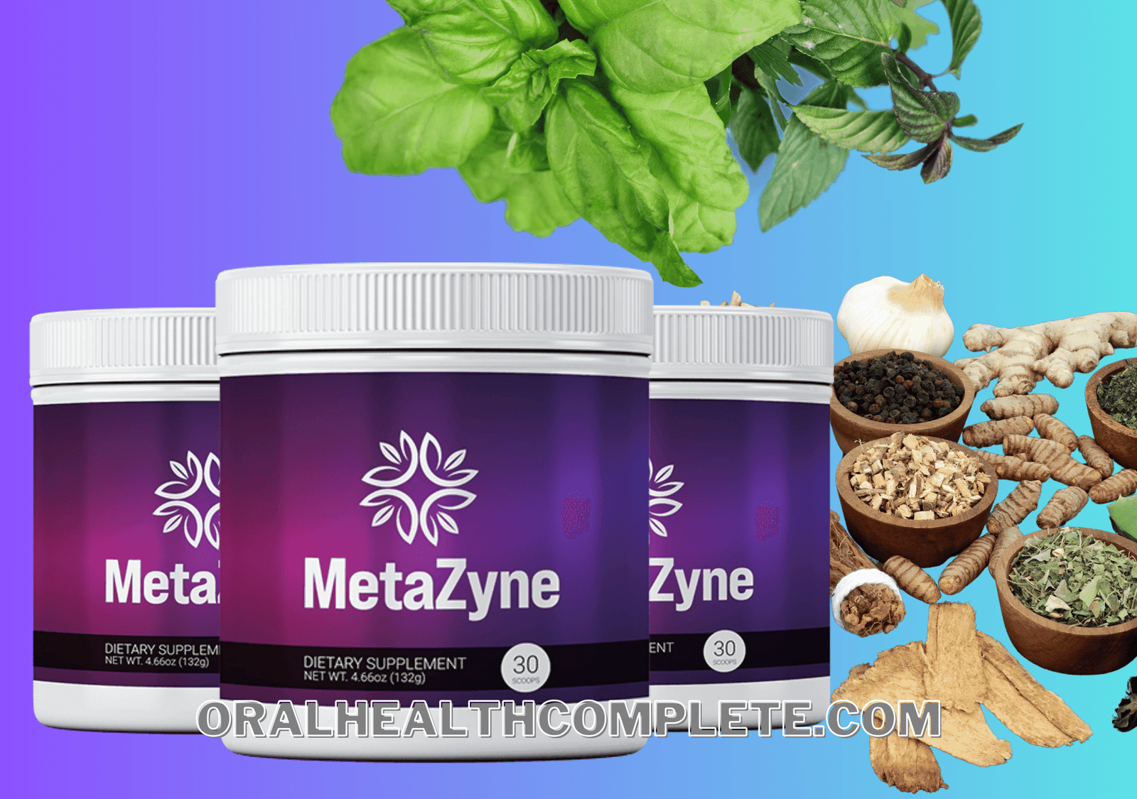MetaZyne ingredients