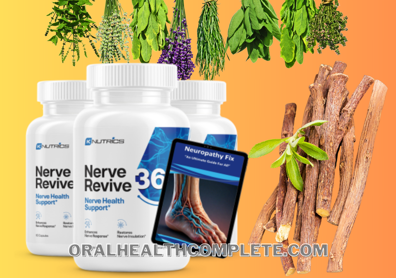 NerveRevive 360 ingredients