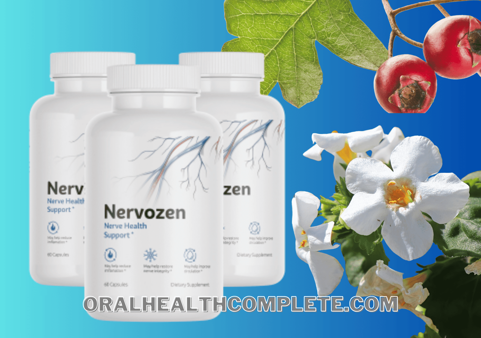 Nervozen ingredients
