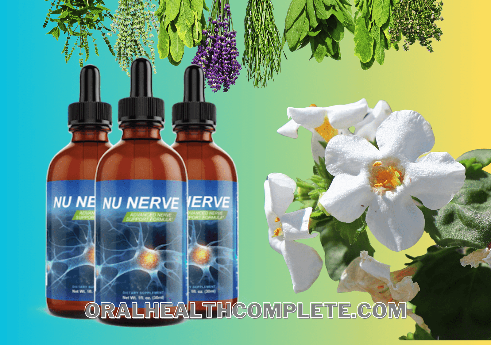 Nu Nerve ingredients