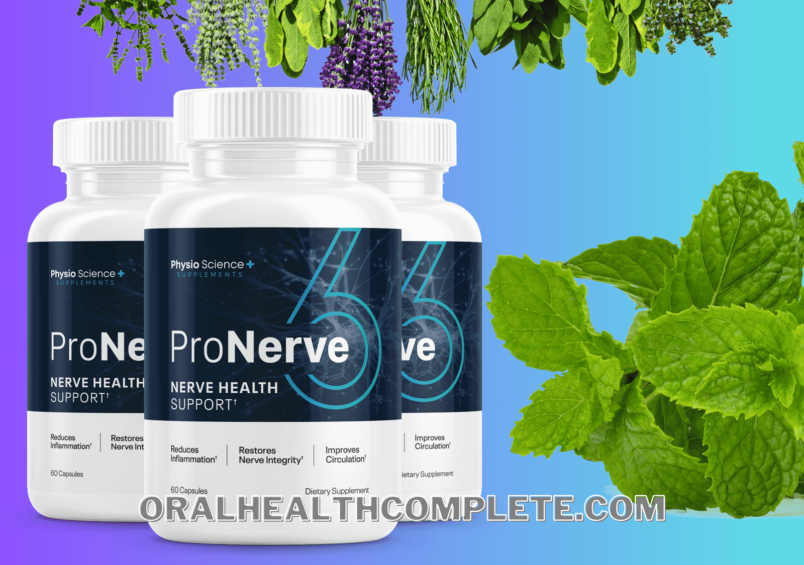 ProNerve6 ingredients