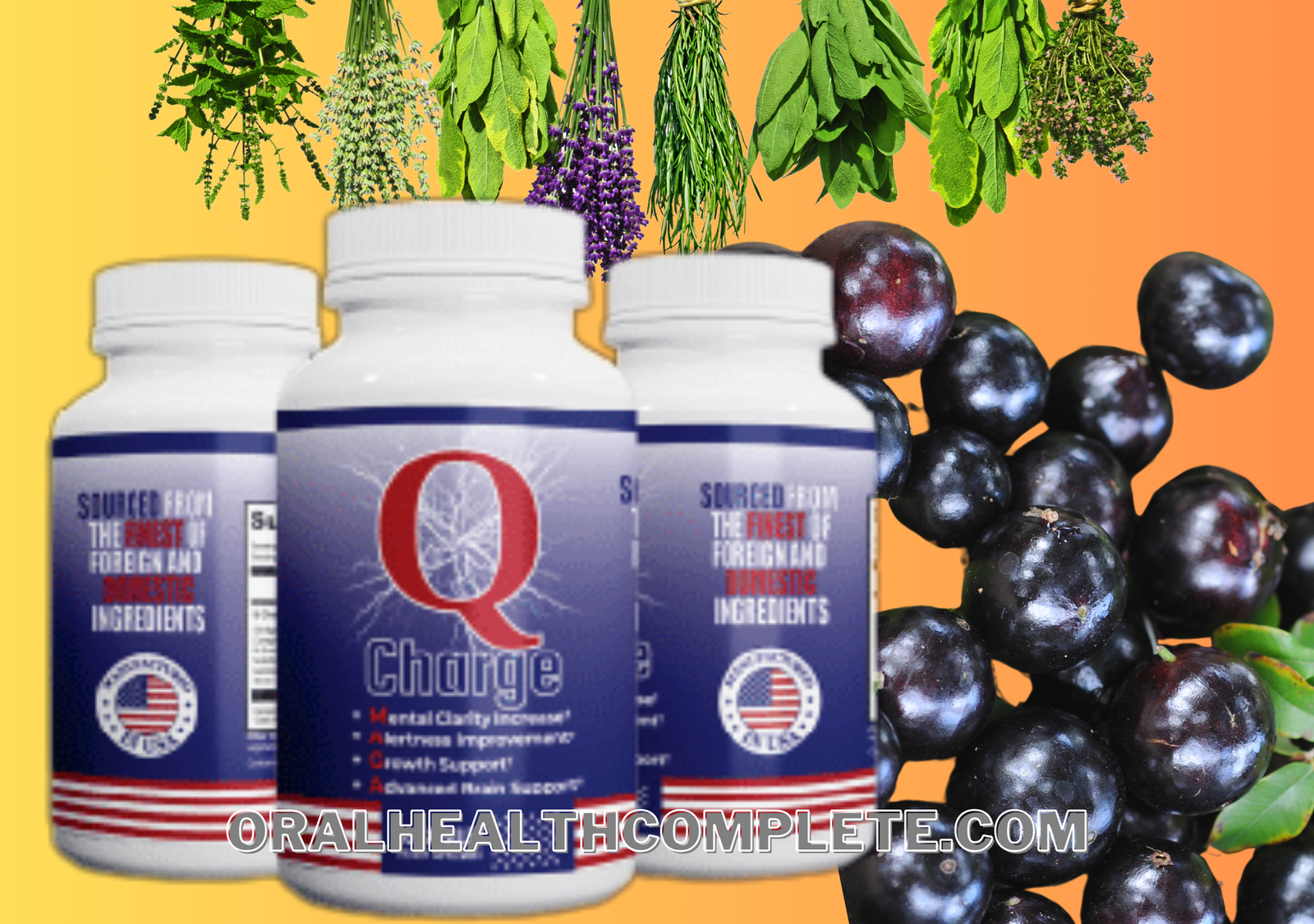 Q Charge ingredients