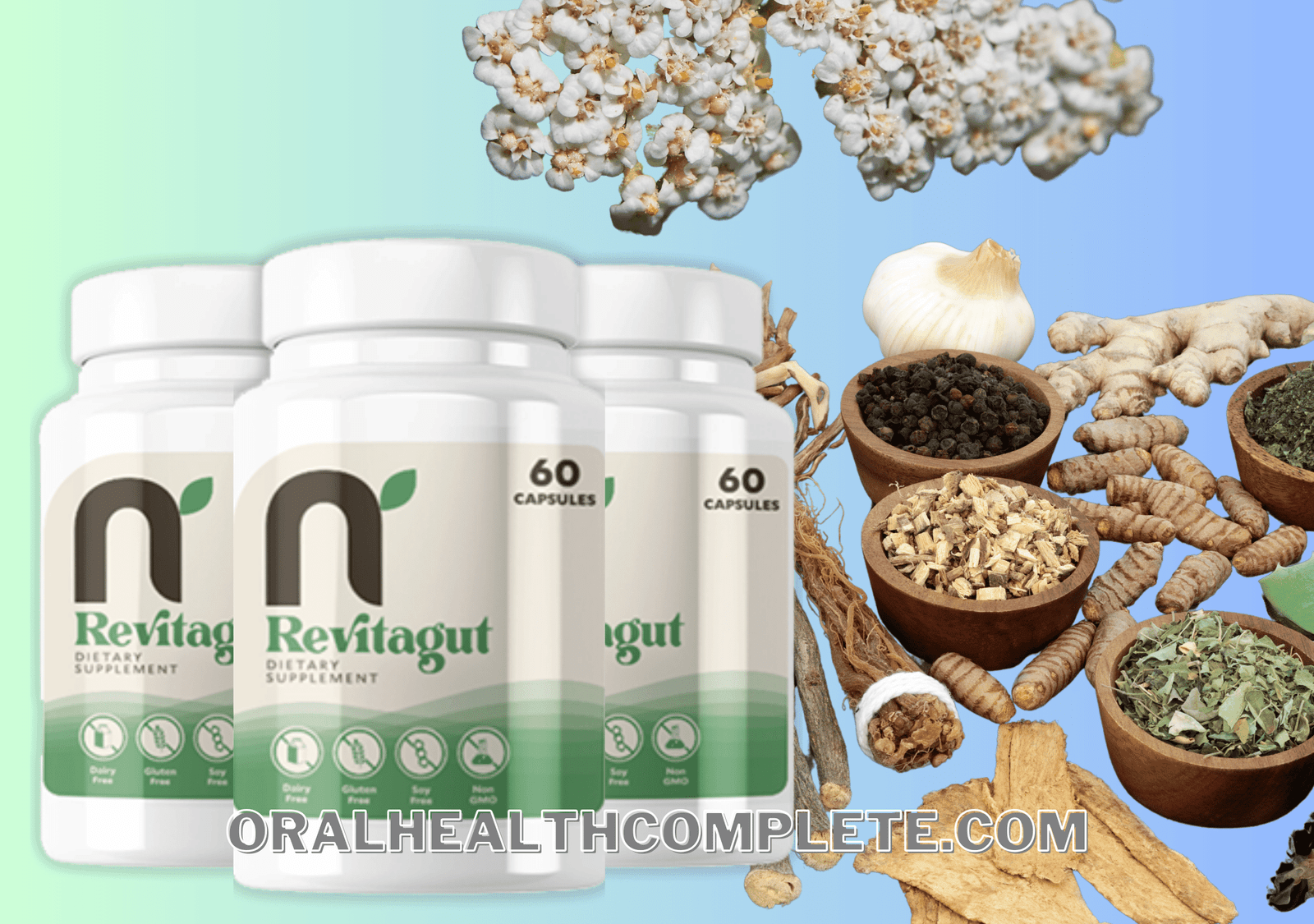 Revitagut ingredients